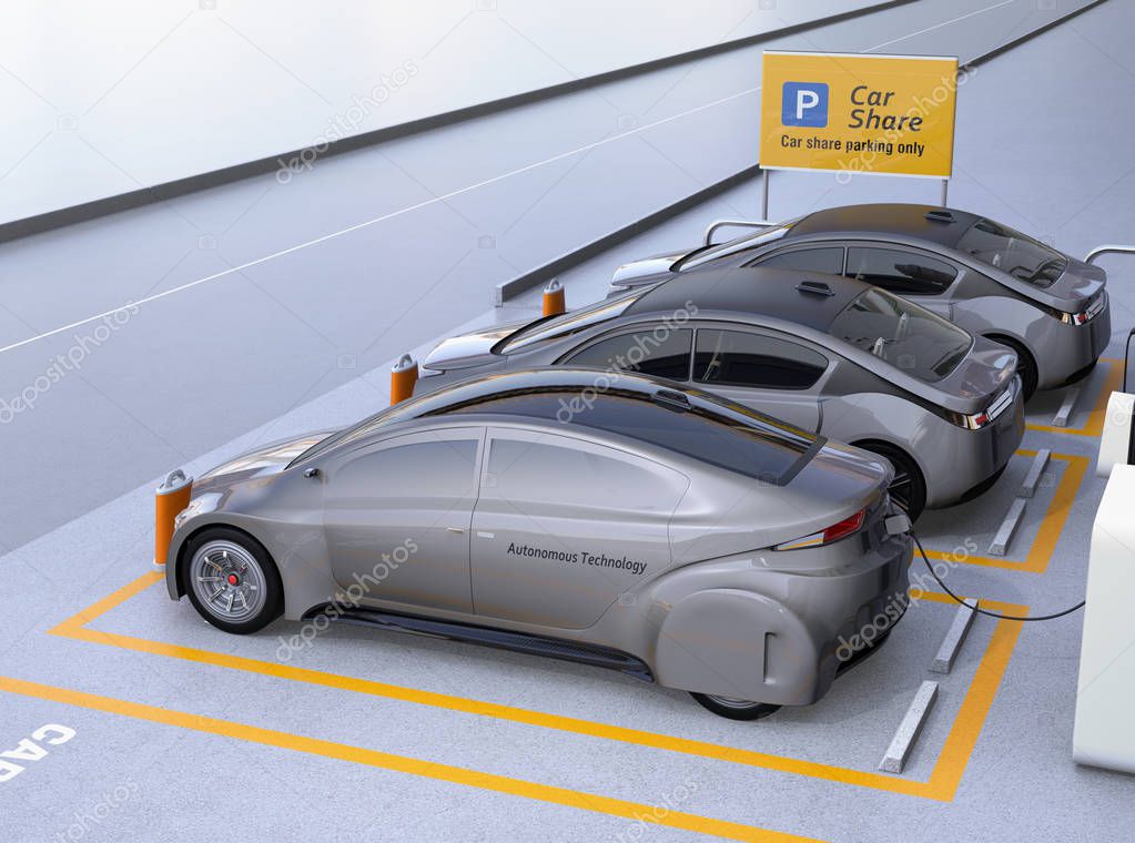 Flotta di auto aziendali parcheggiate pronte per il noleggio